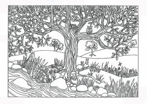 Preschool Printables of Nature Coloring Pages Free   b3hca