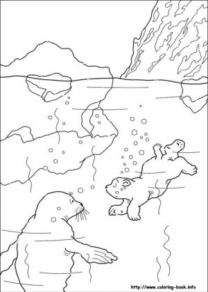 Preschool Printables of Polar Bear Coloring Pages Free   b3hca