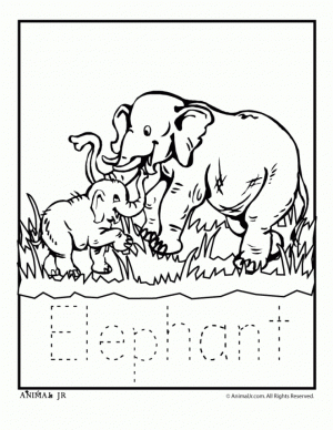 Preschool Printables of Zoo Coloring Pages Free   37204