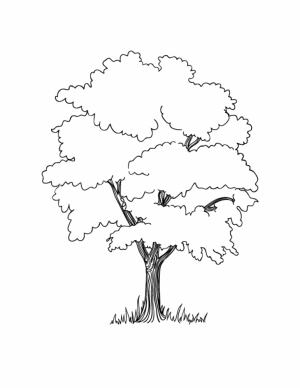 Preschool Tree Coloring Pages to Print   4ABJZ