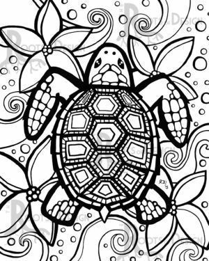Preschool Turtle Coloring Pages to Print   nob6i