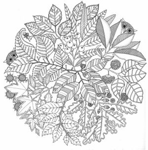 Printable Autumn Coloring Pages for Adults   55cv67