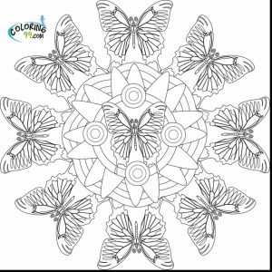 Printable Butterfly Coloring Pages for Adults   74614