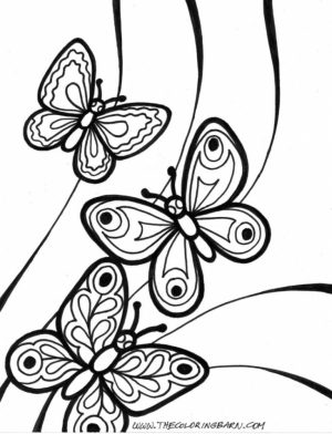 Printable Butterfly Coloring Pages for Adults   90571