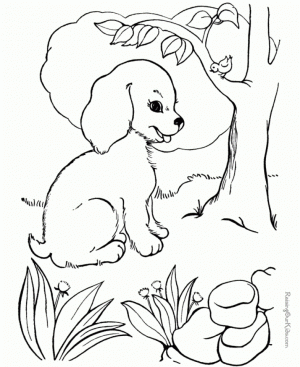 Printable Coloring Pages Of Dogs   29255