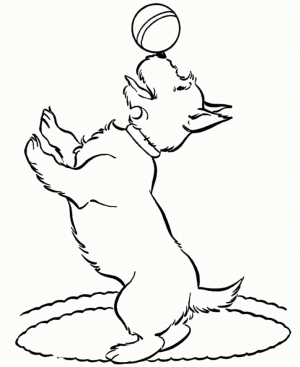 Printable Coloring Pages Of Dogs Online   51321