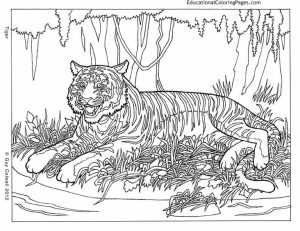 Printable Difficult Animals Coloring Pages for Adults   6756DR3