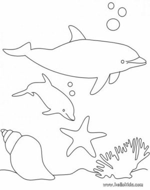 Printable Dolphin Coloring Pages   05719