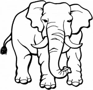 Printable Elephant Coloring Pages for Kids   896342