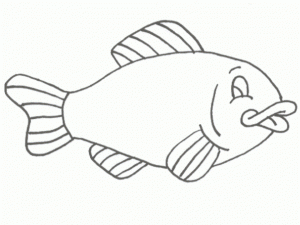 Printable Fish Coloring Pages   662639
