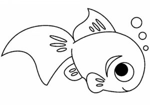 Printable Fish Coloring Pages   810607