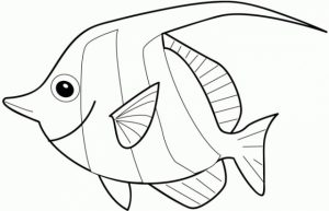 Printable Fish Coloring Pages Online   387835