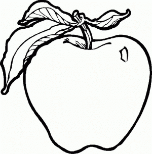 Printable Fruit Coloring Pages   52880