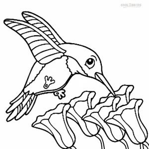 Printable Hummingbird Coloring Pages   58425