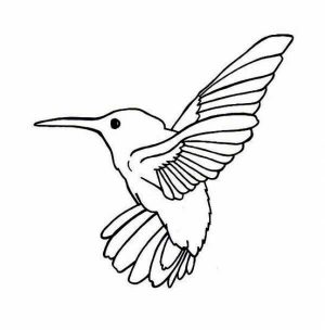 Printable Hummingbird Coloring Pages Online   89391