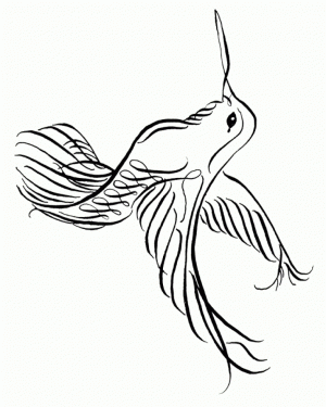Printable Hummingbird Coloring Pages Online   90455