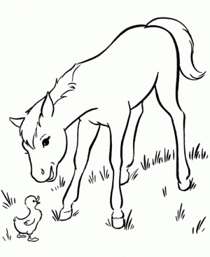 Printable Image of Horses Coloring Pages   UpIuI