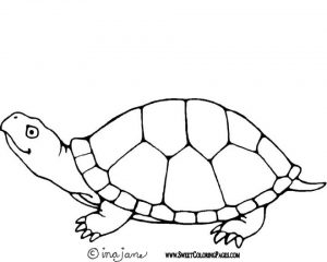 Printable Image of Turtle Coloring Pages   t2o1m