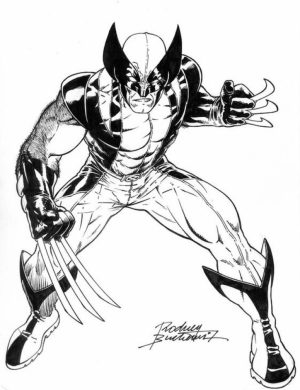 Printable Image of Wolverine Coloring Pages   UpIuI