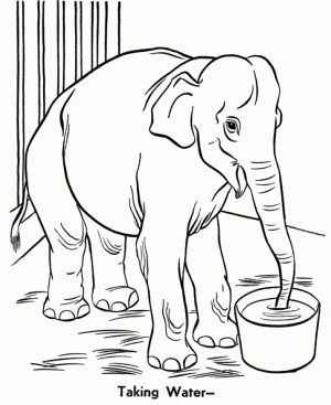 Printable Image of Zoo Coloring Pages   87022