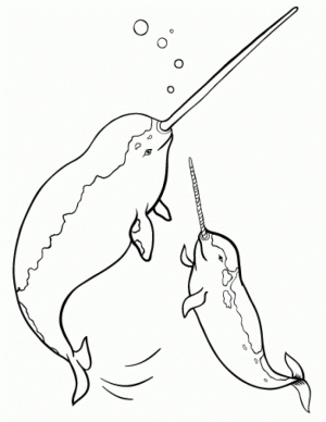 Printable Narwhal Coloring Pages   00467