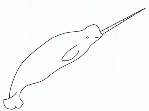 Printable Narwhal Coloring Pages Online   89391