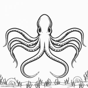 Printable Octopus Coloring Pages Online   gvjp27