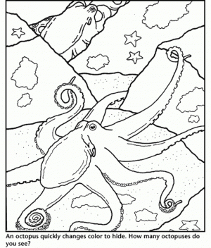 Printable Octopus Coloring Pages Online   mnbb25