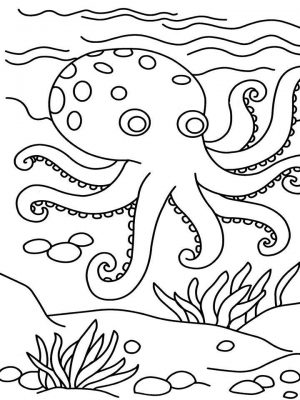 Printable Octopus Coloring Pages   p79hb