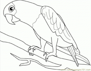 Printable Parrot Coloring Pages   73400