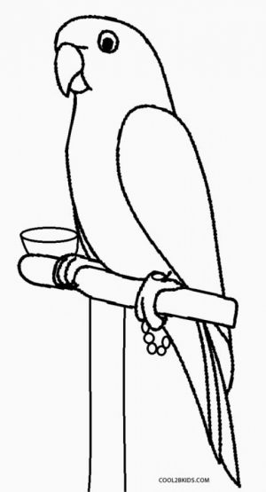 Printable Parrot Coloring Pages   87141