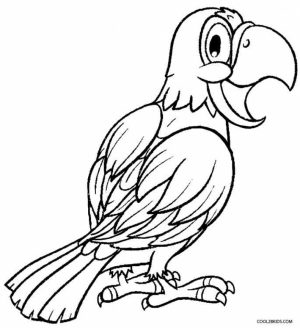 Printable Parrot Coloring Pages Online   51321