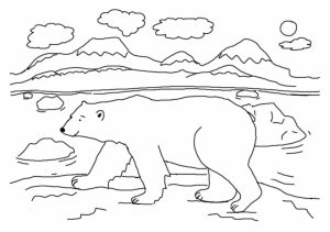 Printable Polar Bear Coloring Pages for Kids   5prtr