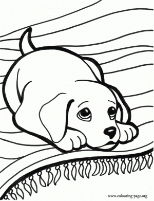Printable Puppy Coloring Pages for Kids   BV21Z
