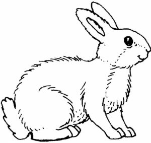 Printable Rabbit Coloring Pages for Kids   BV21Z