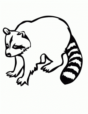 Printable Raccoon Coloring Pages   58425