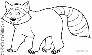 Printable Raccoon Coloring Pages   77764