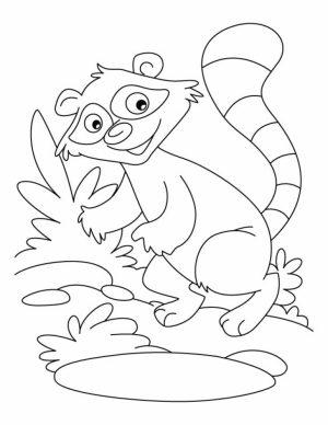 Printable Raccoon Coloring Pages Online   89391