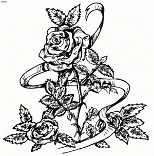 Printable Roses Coloring Pages for Adults   41558