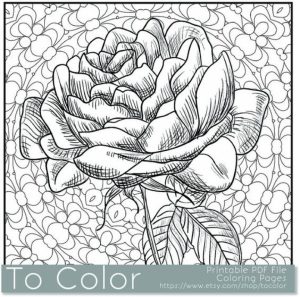 Printable Roses Coloring Pages for Adults Online   91060