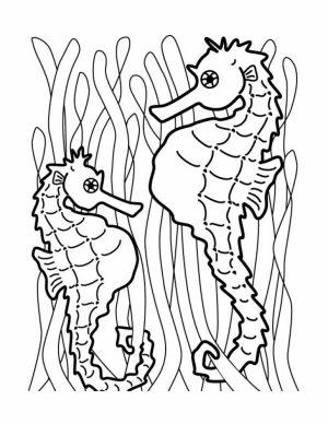 Printable Seahorse Coloring Pages   78757