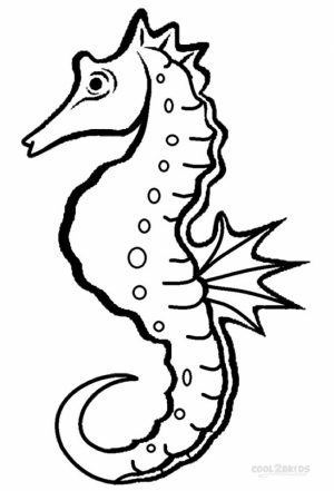 Printable Seahorse Coloring Pages   84618