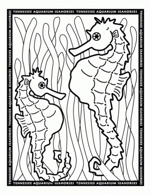 Printable Seahorse Coloring Pages Online   91296