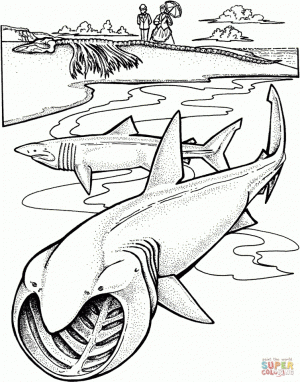 Printable Shark Coloring Pages for Adults   48572