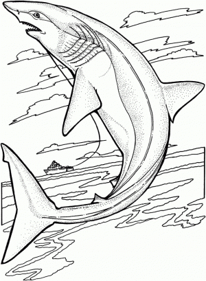 Printable Shark Coloring Pages for Adults   89531