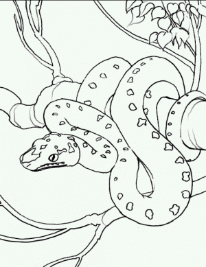 Printable Snake Coloring Pages   00467