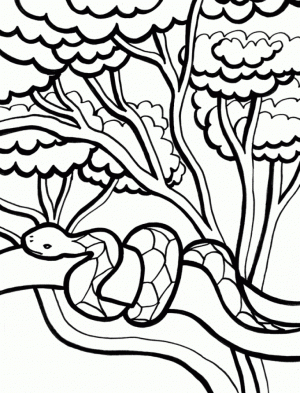 Printable Snake Coloring Pages   01827