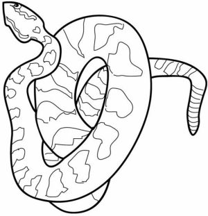 Printable Snake Coloring Pages   77764