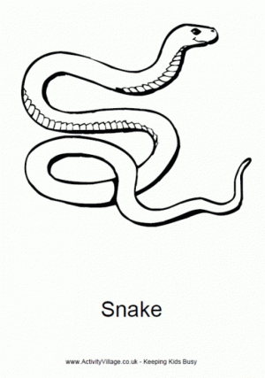 Printable Snake Coloring Pages Online   17696