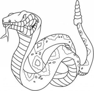 Printable Snake Coloring Pages Online   46714